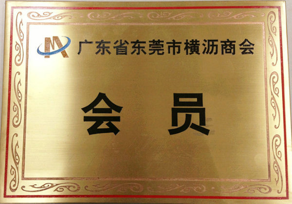 �M�r�̕����T